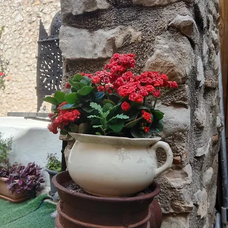 La Milotxa *